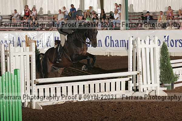Proof 09yn-22031