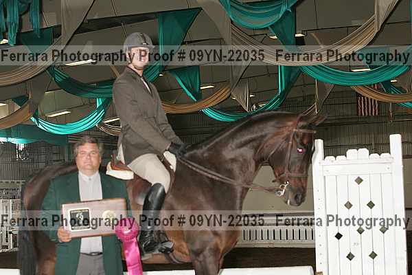 Proof 09yn-22035