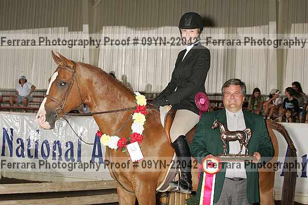Proof 09yn-22042