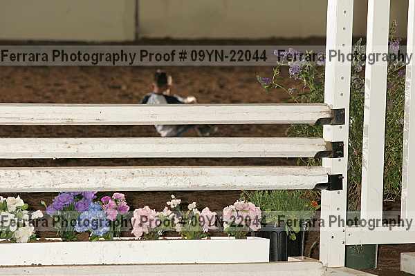 Proof 09yn-22044