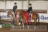 09yn-22056 proof