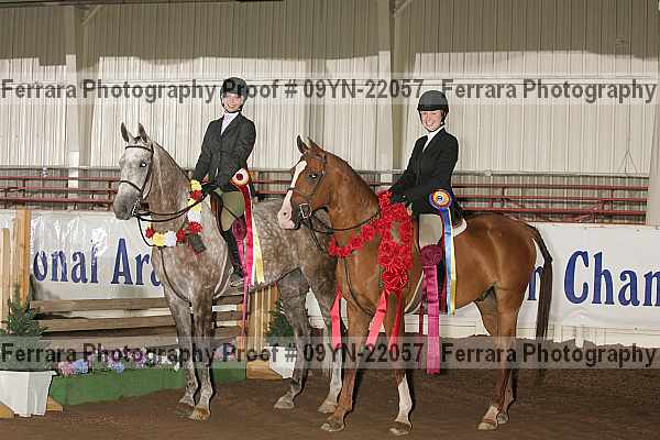 Proof 09yn-22057