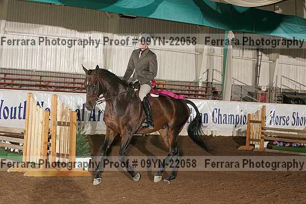 Proof 09yn-22058