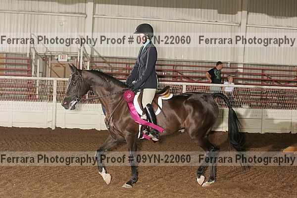 Proof 09yn-22060