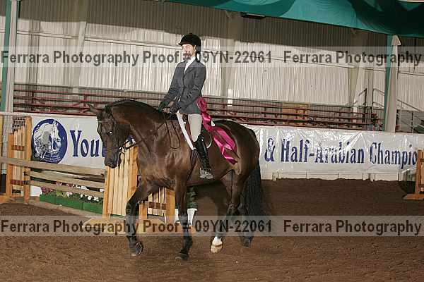 Proof 09yn-22061