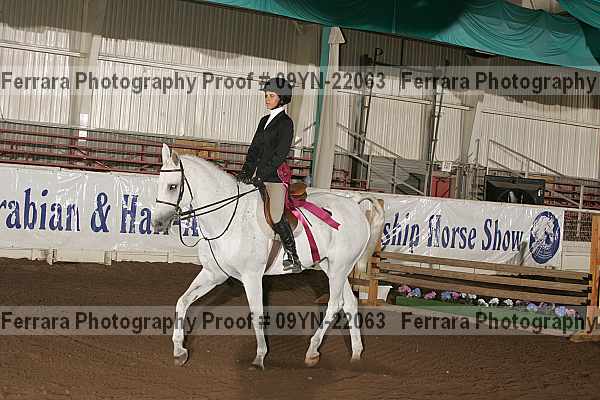 Proof 09yn-22063