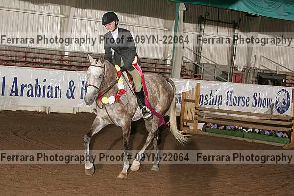 Proof 09yn-22064