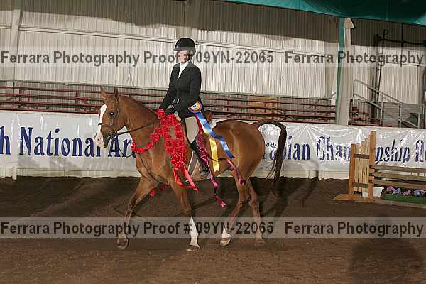 Proof 09yn-22065