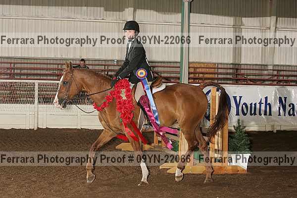 Proof 09yn-22066