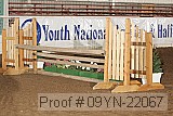 09yn-22067 proof