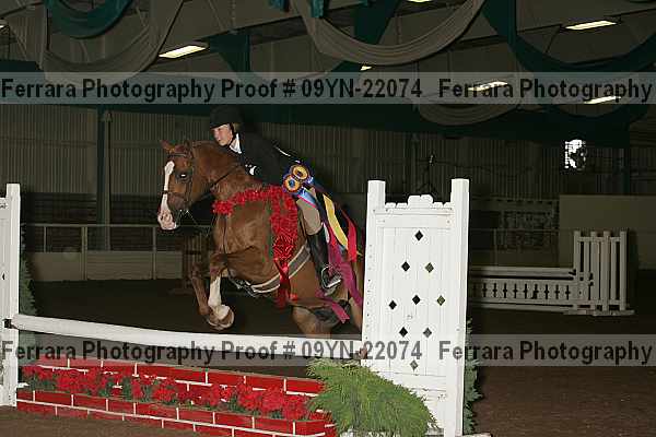 Proof 09yn-22074