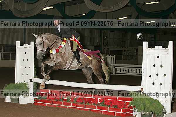 Proof 09yn-22075