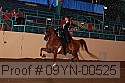 09yn-00525 proof