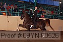 09yn-00526 proof