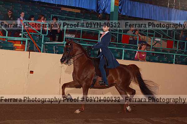 Proof 09yn-00532