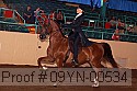 09yn-00534 proof