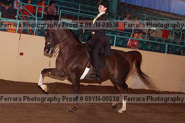 Proof 09yn-00536
