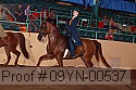 09yn-00537 proof