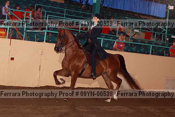 Proof 09yn-00539