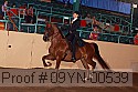 09yn-00539 proof