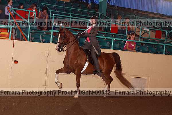 Proof 09yn-00542