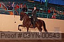 09yn-00543 proof