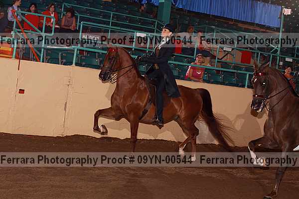 Proof 09yn-00544
