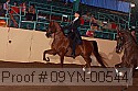 09yn-00544 proof