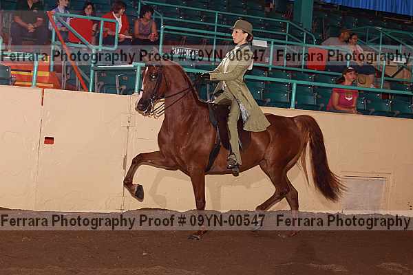Proof 09yn-00547