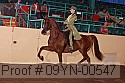 09yn-00547 proof