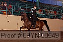 09yn-00549 proof