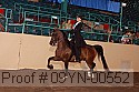 09yn-00552 proof