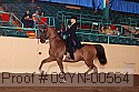 09yn-00564 proof