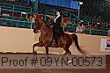 09yn-00573 proof