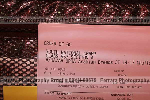 Proof 09yn-00579