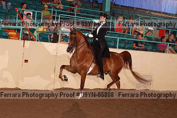 Proof 09yn-05808