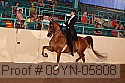09yn-05808 proof