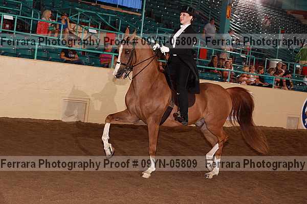 Proof 09yn-05809