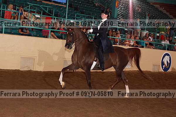 Proof 09yn-05810
