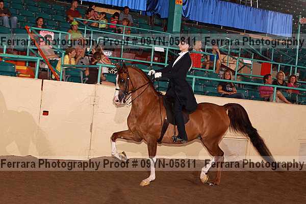 Proof 09yn-05811