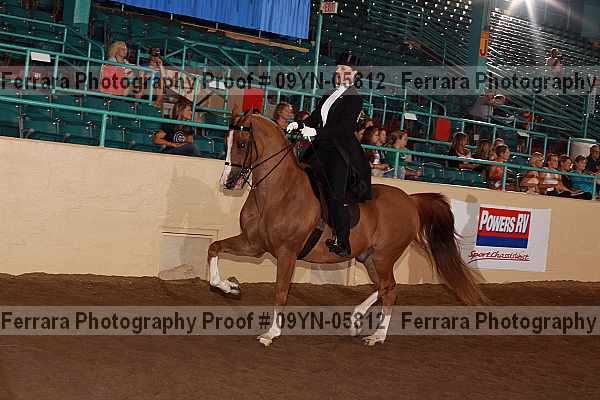Proof 09yn-05812