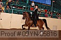 09yn-05816 proof