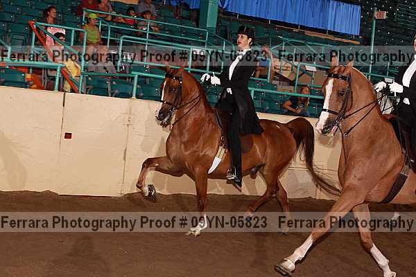 Proof 09yn-05823