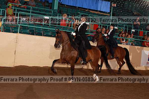 Proof 09yn-05830