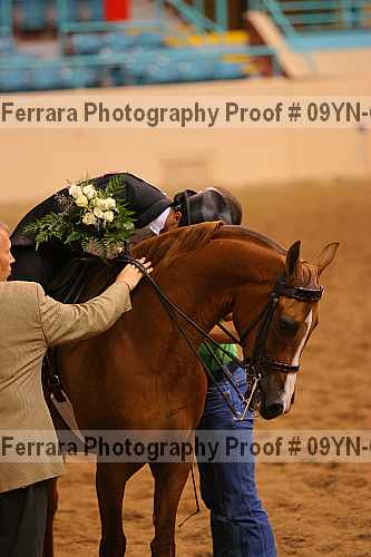 Proof 09yn-05894