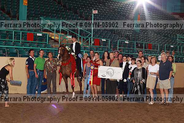 Proof 09yn-05902