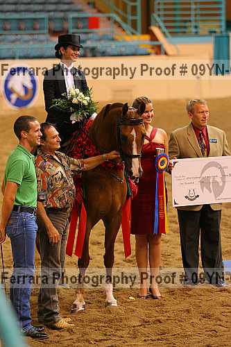 Proof 09yn-05904