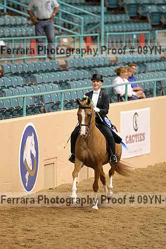 Proof 09yn-05907