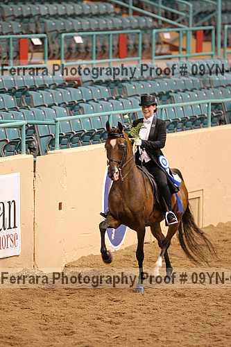 Proof 09yn-05920