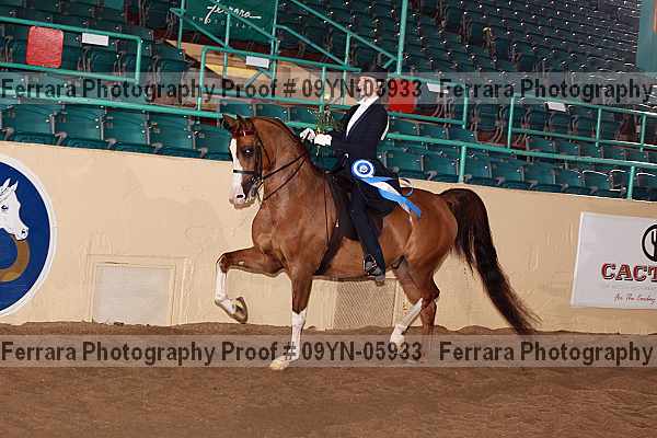 Proof 09yn-05933